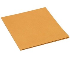 Šluostė VILEDA PROFESSIONAL PVA IRCHA 113673, 54X44CM