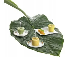 Villeroy &amp; Boch Lėkštutė Villeroy&amp;Boch NewWave, puodeliui 250ml, porcelianas, 20 x 14 cm, vnt