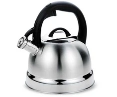 Maestro MR-1329 virdulys 2.9 L Nerūdijantis plienas