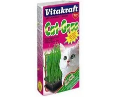 Kačių Skanėstai - Vitakraft Kačių Žolė Rinkinys 120 g