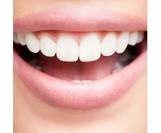 Vitis VITIS GINGIVAL Rinkinys PODRÓZNY