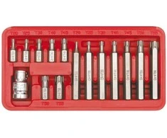 VOREL TORX sukimo antgalių rinkinys 15 vnt. 66580