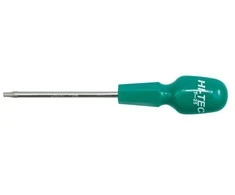 Toya Sa Poland Atsuktuvas TORX T30x100 (61385)