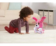 Vtech VTech Talk to Me šuniuko pliušinis žaislas (rožinis)