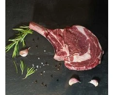 Šaldytuvas do wina Caso Šaldytuvas do wina Niemcy DryAged Master 63