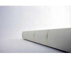 Walther Walther Monza mėlynas 33x34 100 pages self-adhesive SK127L