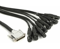 Warm Audio Šiltas garsas - Kabelinis garsas PREMIER DB25 - XLRf 3m