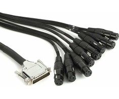 Warm Audio Šiltas garsas – Kabelis Audio PREMIER DB25 – XLRf 1,8m