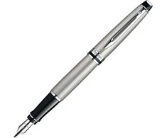 Waterman Expert Steel CT Plunksnakotis - S0952060