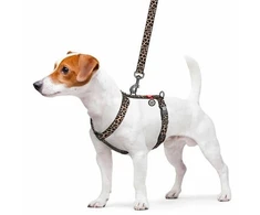 Waudog WAU Guard Pakinktai 25mm/61-85cm Lampart