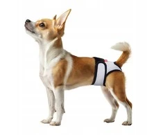 Waudog WAU Šunų higienos kelnaitės katėms ir šunims su lipdukais XL 56-68 cm