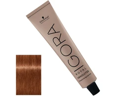 Wella Professionals Schwarzkopf Professional, Igora Royal, nuolatiniai plaukų dažai, 6-80 Dark Skirtas šviesiems plaukams Raudona Natural, 60 ml Moterims