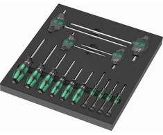 „Wera“ PUTOLŲ Įdėklas SU ATKUKTUMIS TORX VARŽTAMS IR VARŽTAMS 14CZ,