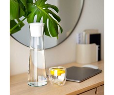 Wessper WES500 stiklinis gėrimų termosas su filtru