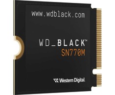 Diskas SSD SanDisk SN770M 1TB M.2 2230 PCI-E x4 Gen4 NVMe (WDBDNH0010BBK-WRSN)