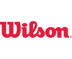 Wilson NBA Authentic City Paris Kamuolio WZ2016004XB Krepsinio Kamuolio