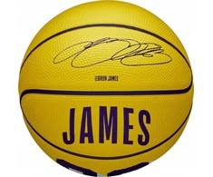 Wilson NBA žaidėjo LeBron James mini kamuolys WZ4027701XB krepšinis