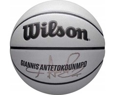 Wilson NBA Žaidėjo "Icon" UV Bskt Giannis Krepšinis WZ4030901XB