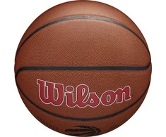 Wilson Team Alliance Toronto Raptors kamuolys