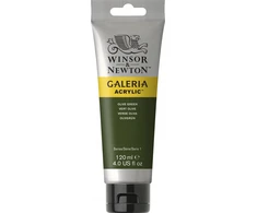 Winsor &amp; Newton Galeria Acrylic 120ml Olive Žalia 447