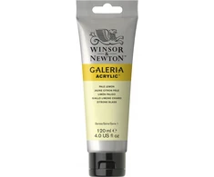 Winsor &amp; Newton Galeria Acrylic 120Ml Pale Lemon 434