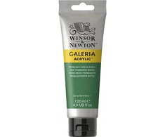 Winsor Newton Akriliniai dažai Galeria 120 ml - 484 Permanent Žalias Medium