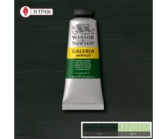 Winsor Newton Galeria akriliniai dažai 60 ml Hookers Žalias 311