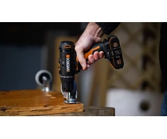 Worx WX100