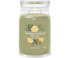 Yankee Candle Aromatinė žvakė "Signature large glass Sage - Citrus" 567 g