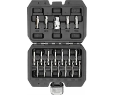 Yato Toya Sa Poland Antgalių rinkinys | sugadintiems T-Star (Torx) ir Hex | 19 vnt. (YT-04584)