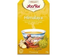 Prieskoninė Himalajų arbata, Yogi Tea, ekologiška, 17 pakelių