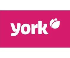 York Vazos kempinės 24vnt. + 4 nemokamai