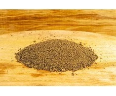 Zaneta Method Feeder 909 Bright Pan Ryba