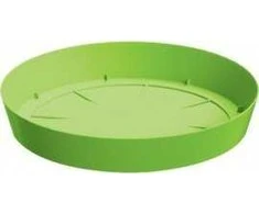 Zeller Glasuntersetzer-Set, 4-tlg.10x10