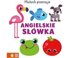 Zielona Sowa ZIELONASOWA Mažylis mokosi anglų kalbos žodžių 94070