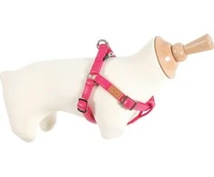 Zolux MAGO PIKADILIS 25 mm colio viršvalandžiai. fuchsia