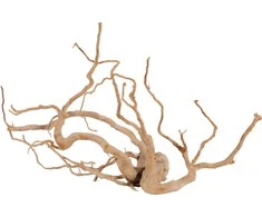 Zolux Japoniškas šaknis Voras Wood Jumbo