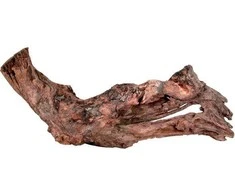 ZOLUX šaknis MANGROWCA 15-25cm
