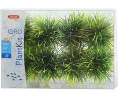 Zolux Mažų augalų rinkinys IDR 16 vnt.