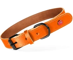 Zolux Antkaklis šunims iš klasikinės odos 50cm/20 mm oranžinės spalvos