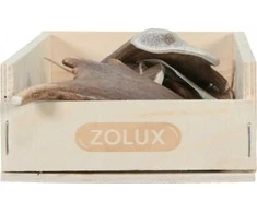Zolux Antlers daniel EASY L