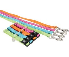 Zolux šuniui Mac Leather Lanyard L 25 mm/1,2 m celadon spalvos
