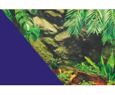Zolux Dvipusis akvariumo fonas „Mėlyna palmė“