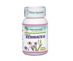 Ayumi Naturals Skėstašakis kamras Indian Echinacea, ekologiškas, Planet Ayurveda, 60 kapsulių