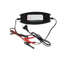 Amio Automatinis akumuliatoriaus įkroviklis AGM 6V/12V - DVL DBC-4A