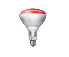 Lemputė Philips 250 W 22314