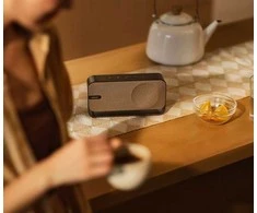 Bose SoundLink Home Bluetooth® Speaker