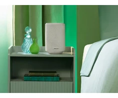 Bose Lifestyle Ultra Speaker