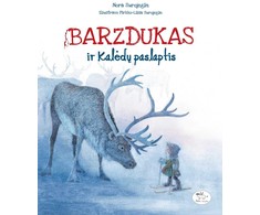 KNYGA Barzdukas ir Kalėdų paslaptis