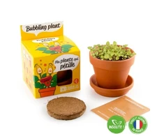 Burbulinio augalo auginimo rinkinys RADIS et CAPUCINE